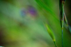 HJK_5599