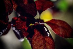 HJK_5857
