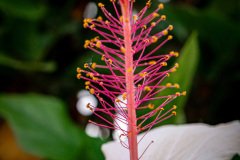 HJK_6335