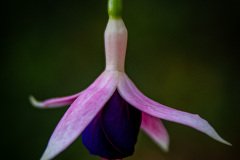 HJK_8018